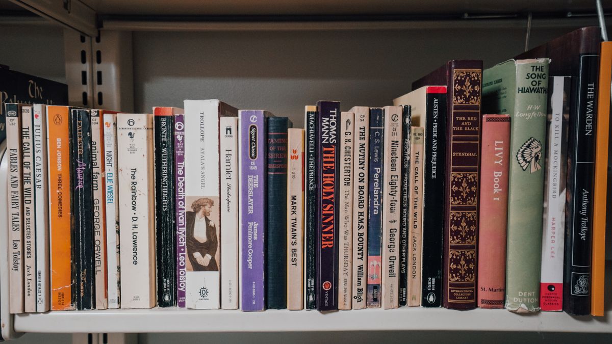 Books standing upright together on a wooden shelf