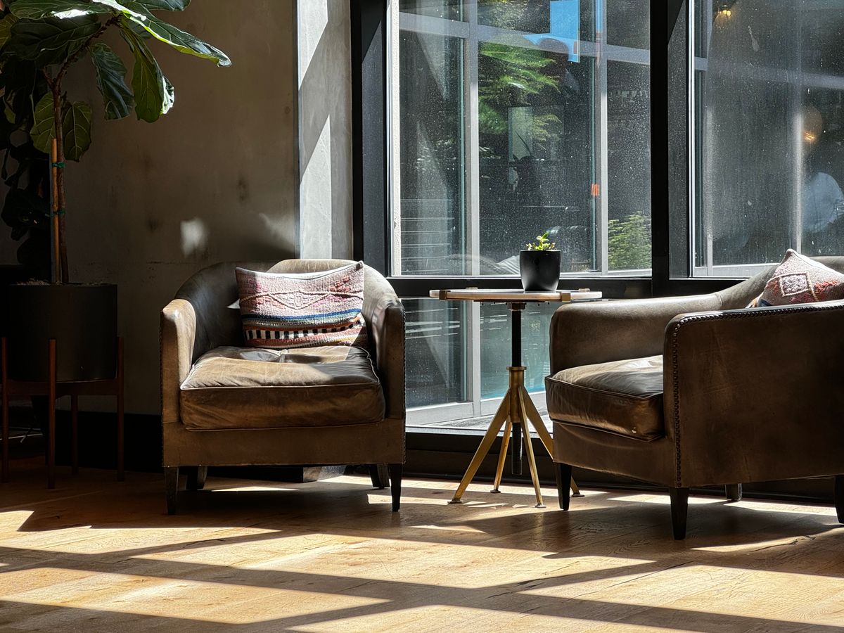 Sunlight falling across living room furniture